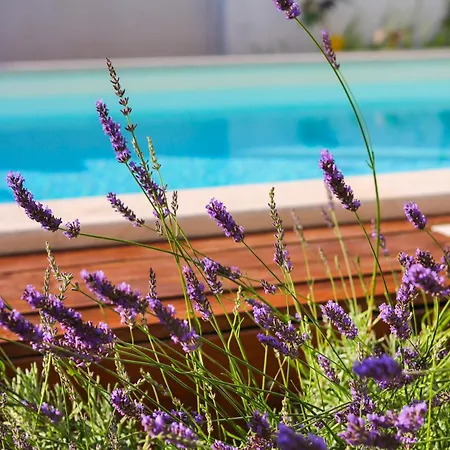 아파트 My Rose With A Private Pool *