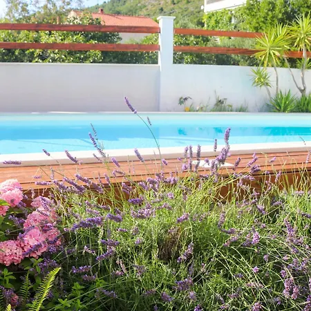 My Rose With A Private Pool Apartman Mlini