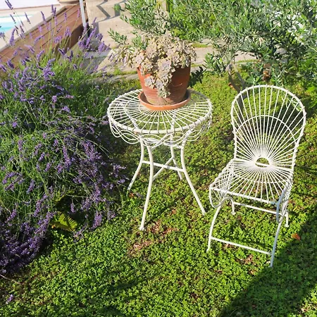 My Rose With A Private Pool Mlini