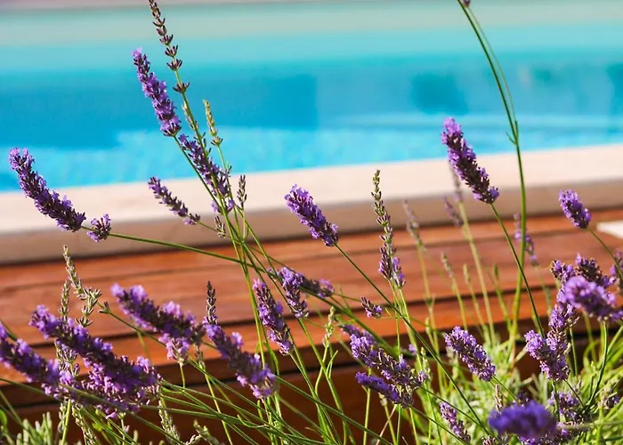 公寓 My Rose With A Private Pool *